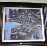 Lyndsey Selley oil on canvas, portrait study of a Cat, signed in black distressed effect frame