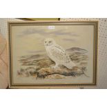 Paul Alexander Nicholas (1943-2007), A Snowy Owl ina Moorland Landscape, watercolour, signed and dat