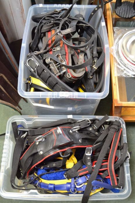 Two boxes of Horse Tack