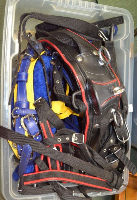 Two boxes of Horse Tack - Image 3 of 3