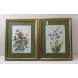 Two watercolour studies of flowering plants framed and glazed