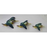 A set of three Beswick graduated painted pottery flying kingfisher wall mounts