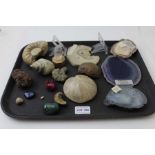 A collection of fossils and crystals, includes a slice of fossilised wood, from Madagascar