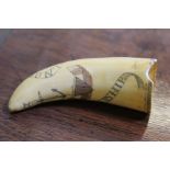 A scrimshaw faux sperm whales tooth (replica)