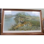 David Shepherd, signed limited edition print 'Tiger in the Sun', 402/850