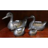 A family of four lead Eastern style Ducks