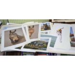 A large selection of mainly horse racing and sporting prints including some signed limited edition