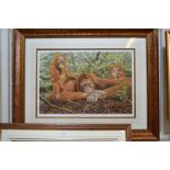 After Alan M Hunt a signed limited edition print of orangutans 23/750