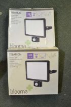 A pair of boxed "Telamon" outdoor security lights