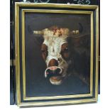 ALBERTUS VERHOESEN (1806 - 1881) Head study of a bull, oil on canvas, signed and dated 1837, 79cm by