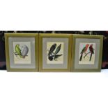 Three framed lithographs "Cassells Canaries & Cage birds", 20cm x 17cm, framed and glazed