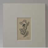 Eric Gill "Babe on a Bow", wood engraving, signed no. 12 of 20, 9.5cm x 6cm, mounted ( bears Sophie