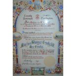 Darlington Mayoral certificate