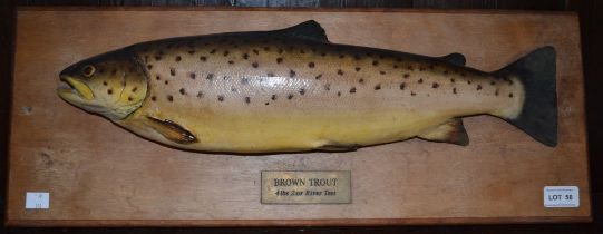 A resin model mounted on a wooden plaque brown trout 4lb 2oz River Test