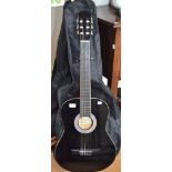 FREEDOM Acoustic Guitar
