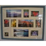 A mounted photographic montage of Flowers of Mustique by Archie Miles, signed