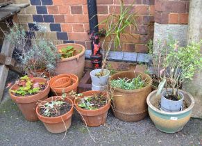 A quantity of plant pots
