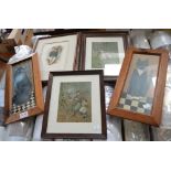 Two pine framed cat prints, and three other prints