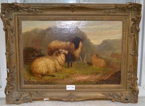 Mid 19th century oil on canvas 'sheep on a hilly path' 29 x 44cm - signed