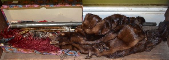 Two mink stoles, an Ostrich feather in a tin tube and a box of mixed feathers