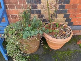 Two garden pots with contents