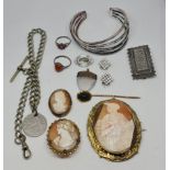 A collection of various jewellery, to include a yellow metal scarab beetle stick pin, cameo