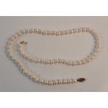A single row string of graduated pearls with 9ct gold clasp, approx. length 46cms