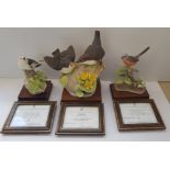 Three Royal Worcester James Alder limited edition bird figurines with certificate.
