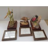 The Royal Worcester James Alder limited edition bird figurines with certificate.