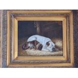 Oil on board depicting dog and cat lying in hay. Approx 24cm x 19cm.