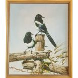 C. JEFFARES, signed, oil on canvas depicting two magpies sitting on a fence. Approx 50cm x 60cm.