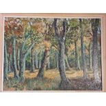 Oil on board depicting a forest. Indistinctively signed. Approx 60cm x 43cm.