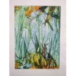 Pauline Bradley. A lithograph entitled "In the Wood 1". Signed in pencil and dated 07. 29cm x 41cm.