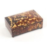 A good Georgian rectangular tortoiseshell sewing box for a child, circa 1810, raised on silvered