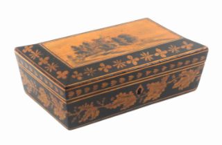 A pen work card box, probably relating to the Tunbridge trade, of rectangular form, the sides