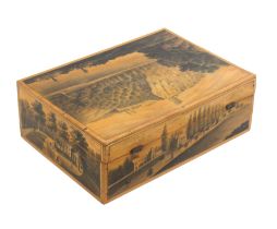 A fine late 18th Century/early 19th Century rectangular Spa Work sewing box decorated in monochrome,