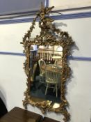 A large ornate carved pine decorative mirror, surmounted by an eagle with acanthus and scrolls,