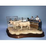 A Border Fine Art group 'Under the Hammer (H+H Charolais Cross)'