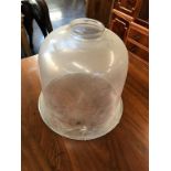 A large glass bell jar