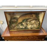 Taxidermy: An Otter eating a fish, 94cm x 56cm