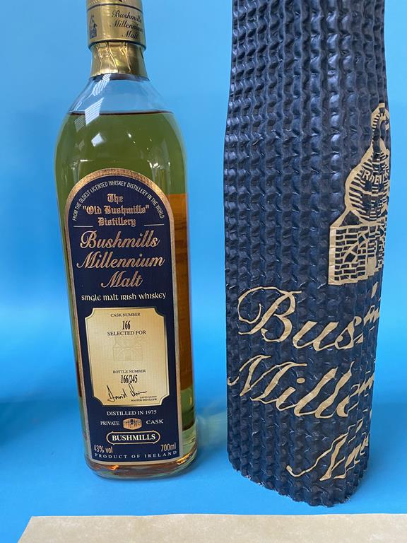 TO BE SOLD IN OUR 1ST MARCH, ANTIQUE, INTERIOR AND GENERAL SALE - Two bottles of 1975 Bushmills - Image 4 of 6