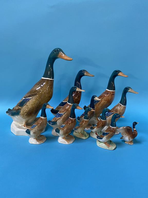 Twelve Beswick ducks (various sizes) - Image 2 of 2