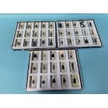 A collection of Lucite cased insects