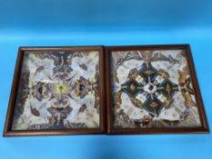 Two sets of cased Butterflies, 40cm x 40cm