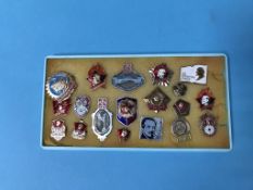 A collection of Russian enamelled badges (19)