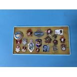 A collection of Russian enamelled badges (19)