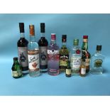 A bottle of Zubrowka Vodka, Tanqueray gin and Stolichnaya Vodka etc. (11)