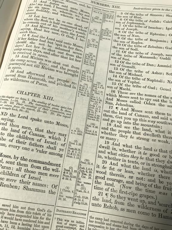 A leather bound Family Bible - Image 3 of 4