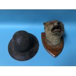 A military tin helmet and a wall mounted foxes head