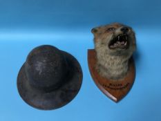 A military tin helmet and a wall mounted foxes head